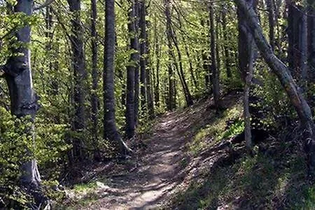 Casa Tra I Prati Del Parco Antola Сasa de vacaciones