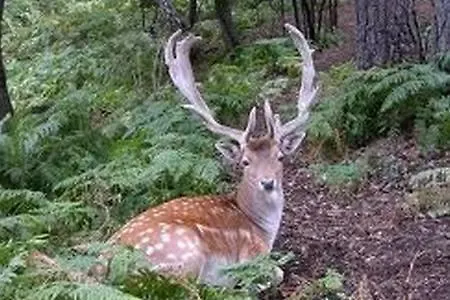 Сasa de vacaciones Casa Tra I Prati Del Parco Antola