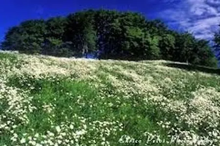 Сasa de vacaciones Casa Tra I Prati Del Parco Antola *