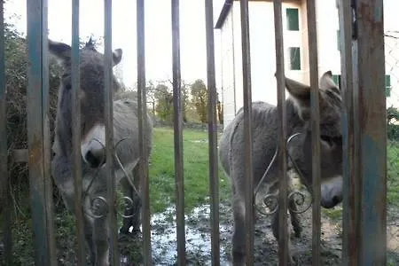 Сasa de vacaciones Casa Tra I Prati Del Parco Antola Marzano (Genova)